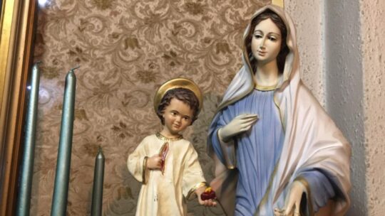 Guiarlos con mi Corazón al Corazón de Jesús