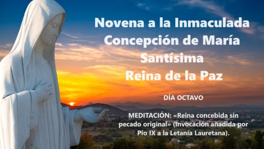 Novena a la Inmaculada Concepción Día 8