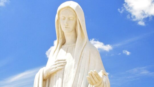 María, verdadera Arca de la Alianza  (Benedicto XVI)