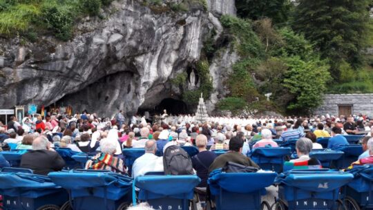 Lourdes y los enfermos