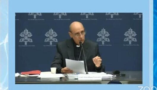 Santa Sede da Nihil Obstat y culto público para Medjugorje