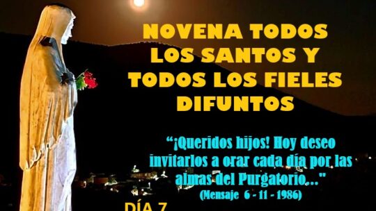 Novena todos los Santos y todos los Fieles Difuntos Día 7