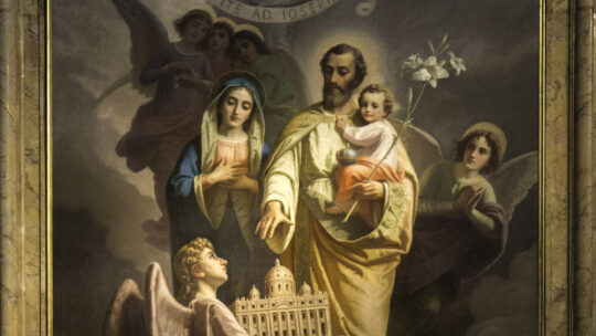 San José, Padre Virginal Protector de la Iglesia