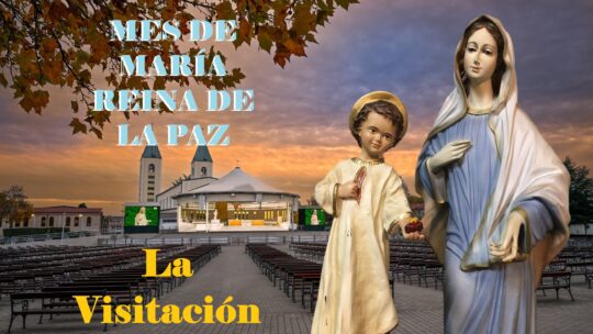 Mes de María. María en la Visitación