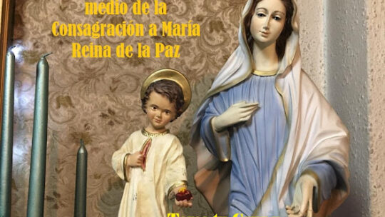 Toma tu Cruz y Sígueme…