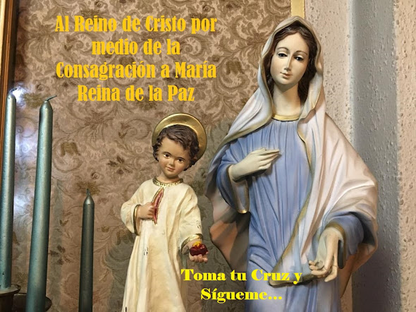 Toma tu Cruz y Sígueme…