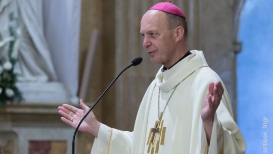 La devoción a la Virgen María y el Rosario